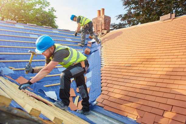 Best Roof Maintenance and Cleaning  in Tarpey Village, CA